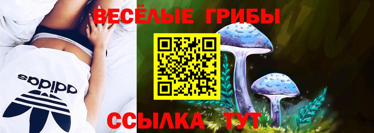 Дедовск  Галлюциногенные грибы Cubensis  Вход с VPN 