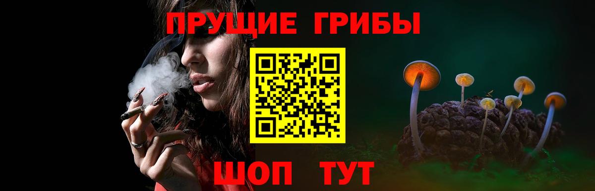 Галлюциногенные грибы Дедовск
